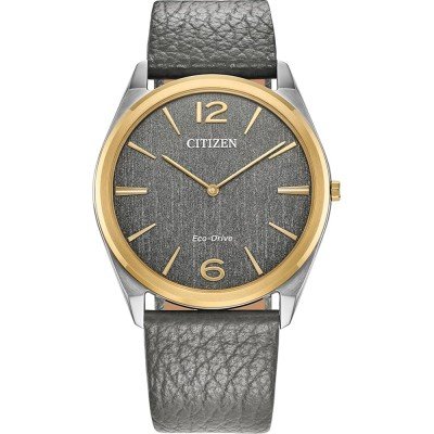 Montre Citizen AR3124-07H Suratto