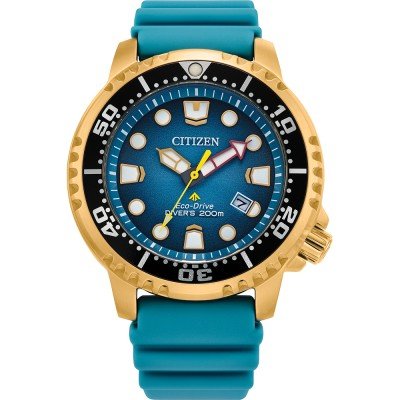 Montre Citizen BN0162-02X Promaster Dive