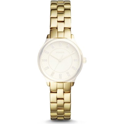 Bracelet Fossil Straps ABQ1573 BQ1573 Modern Sophisticate