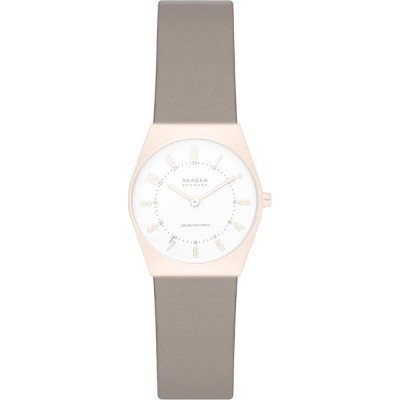 Bracelet Skagen ASKW3079 Grenen Lille Solar