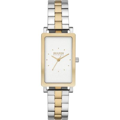 Montre Skagen SKW3156 Hagen