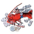 Swatch Packaging Specials PWK181PACK Cruise Set (Langoustine) montre