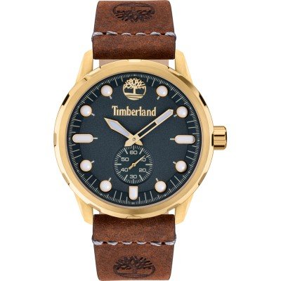 Montre Timberland TDWGA0028502 Adirondack