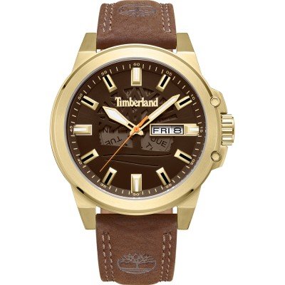 Montre Timberland TDWGB0040803 Canfield